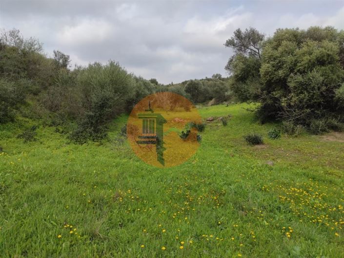 Image No.31-Plot for sale