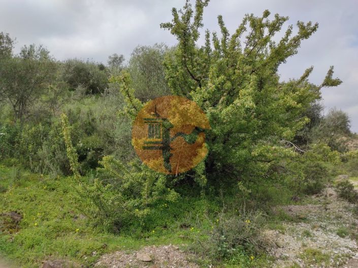 Image No.32-Plot for sale