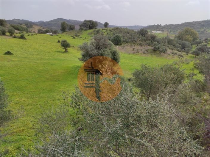 Image No.33-Plot for sale