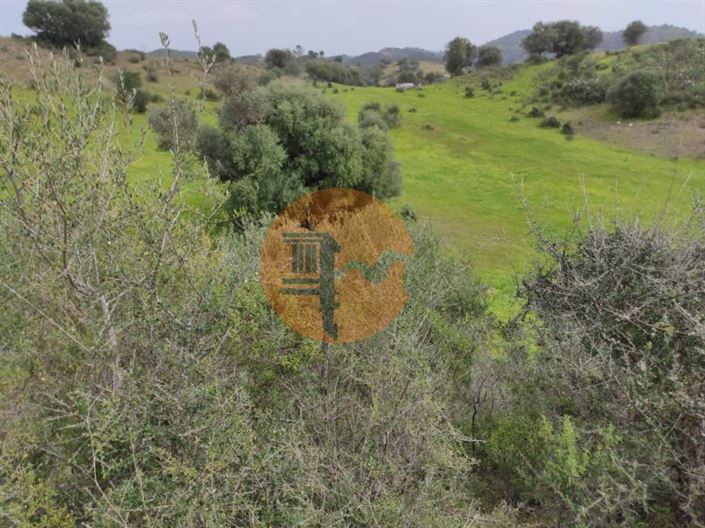 Image No.9-Plot for sale