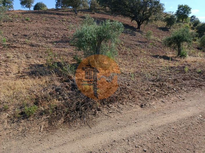 Image No.13-Plot for sale