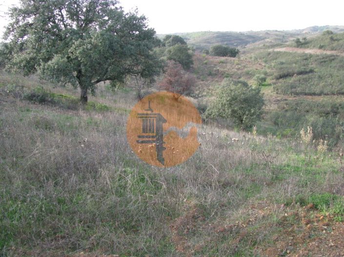 Image No.16-Plot for sale