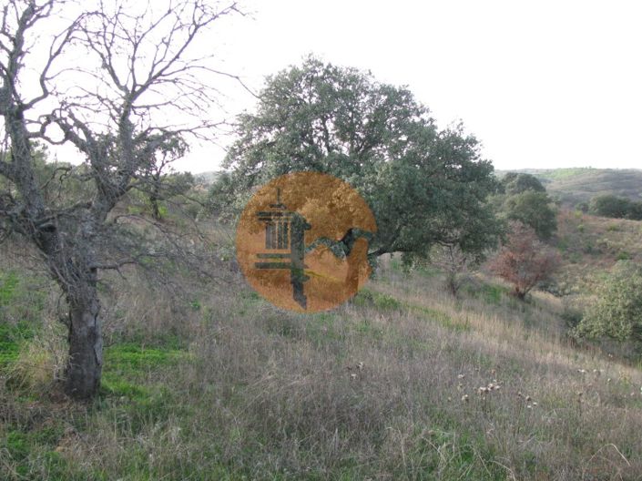 Image No.17-Plot for sale