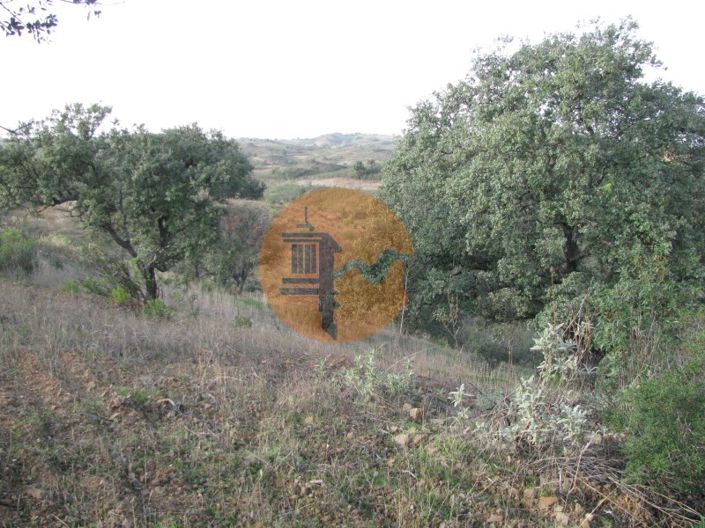 Image No.19-Plot for sale