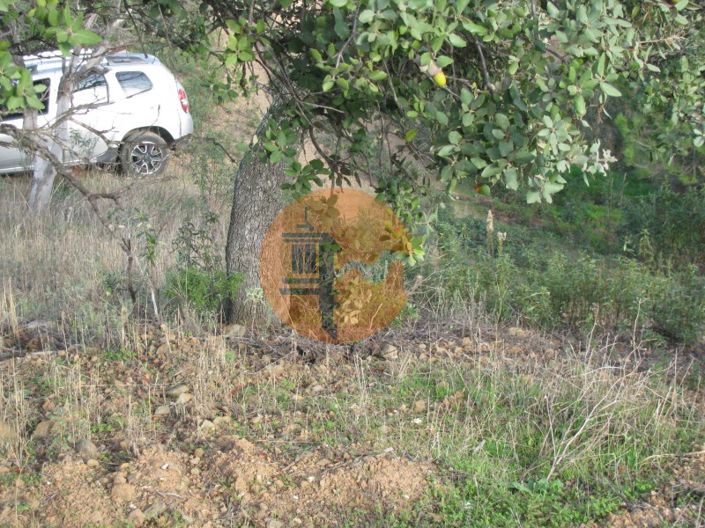 Image No.23-Plot for sale