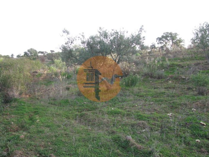 Image No.24-Plot for sale