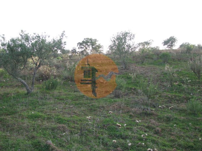 Image No.26-Plot for sale