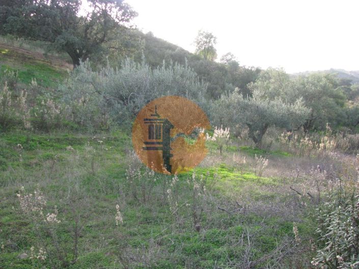 Image No.27-Plot for sale