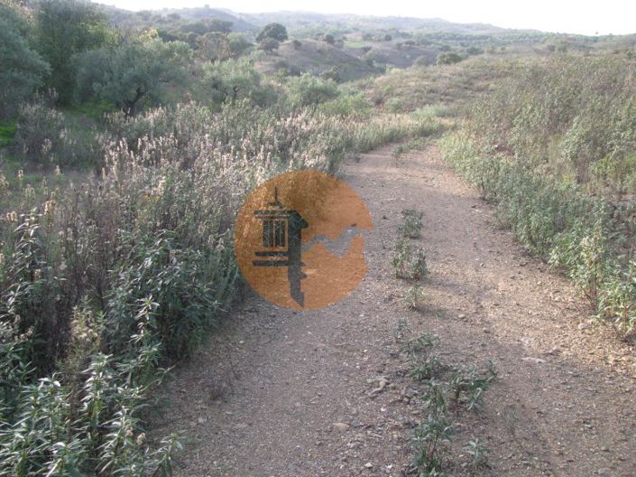 Image No.29-Plot for sale