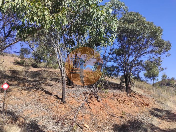 Image No.10-Plot for sale