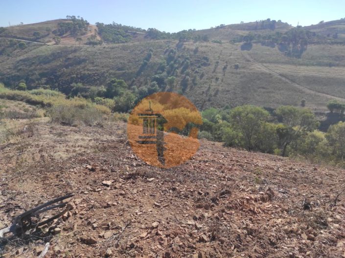 Image No.11-Plot for sale