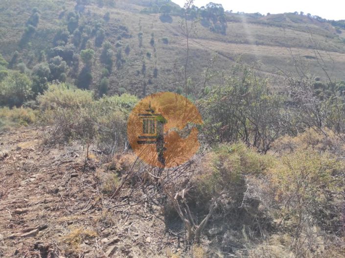 Image No.12-Plot for sale