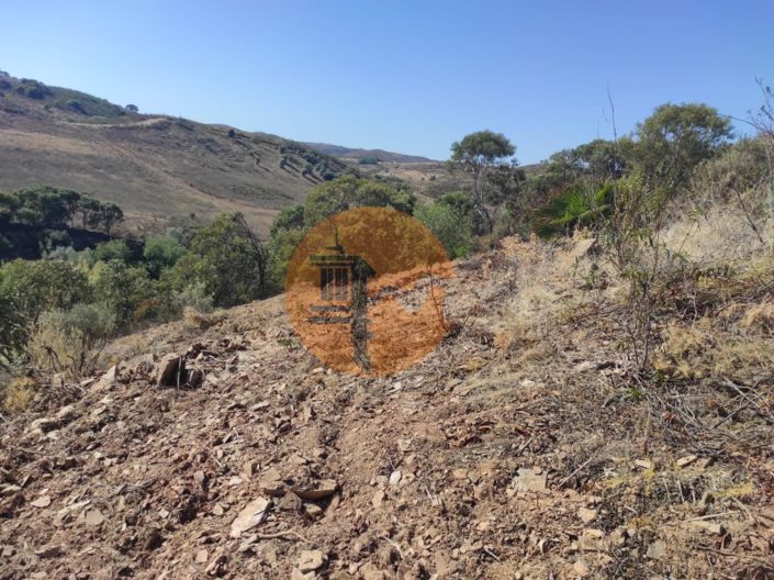 Image No.13-Plot for sale