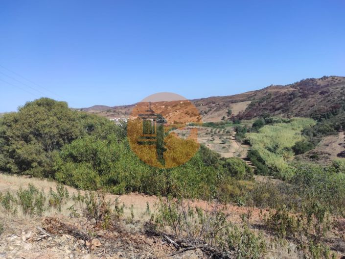 Image No.14-Plot for sale