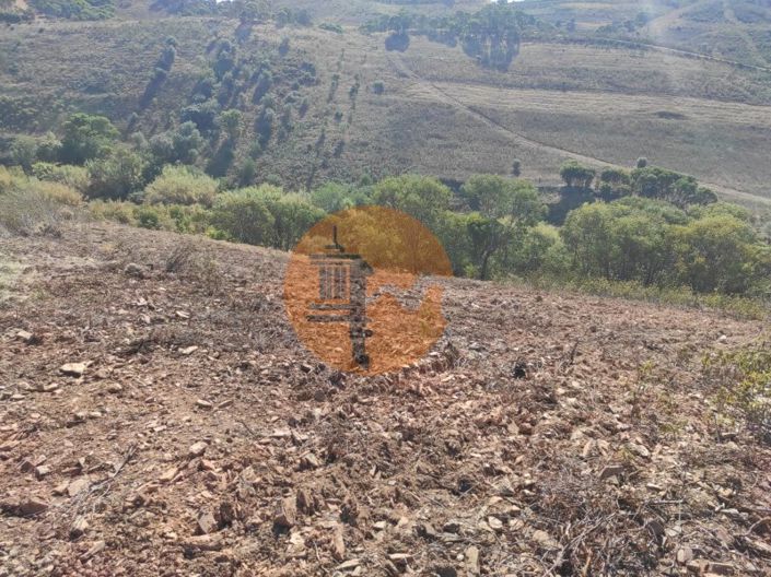 Image No.17-Plot for sale