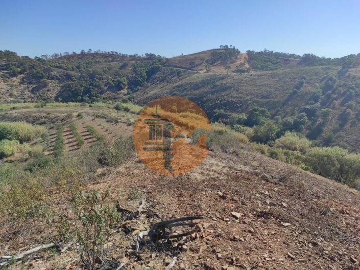 Image No.19-Plot for sale