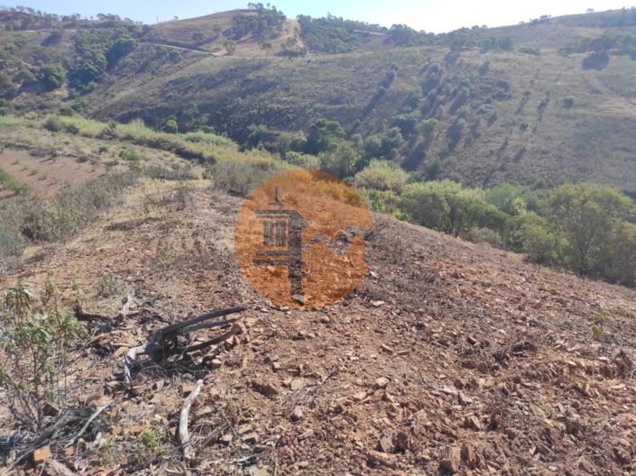 Image No.23-Plot for sale