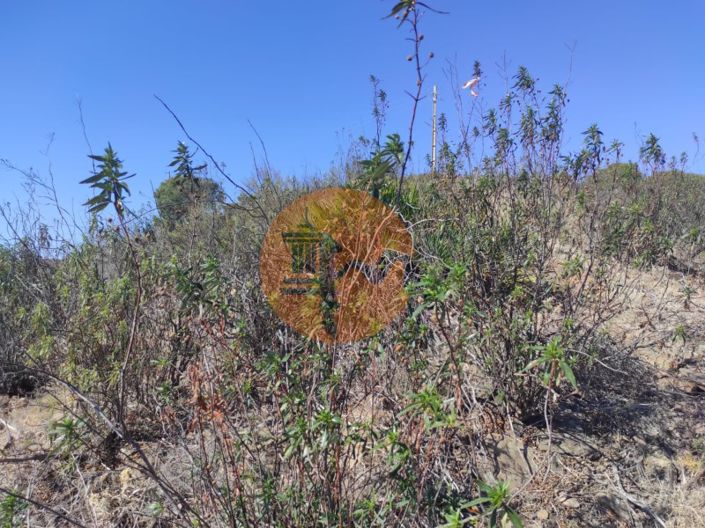 Image No.25-Plot for sale