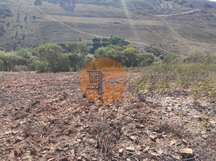 Image No.26-Plot for sale