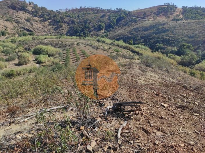 Image No.27-Plot for sale