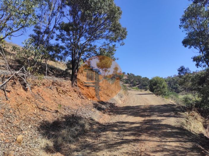 Image No.3-Plot for sale