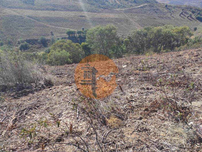 Image No.30-Plot for sale