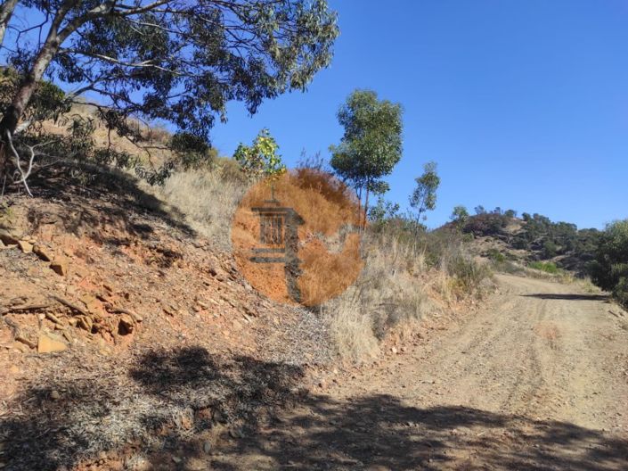 Image No.4-Plot for sale