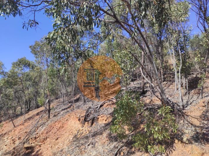 Image No.5-Plot for sale