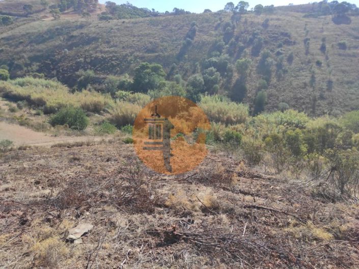 Image No.6-Plot for sale