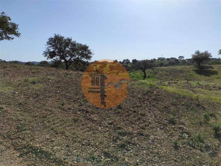 Image No.7-Plot for sale