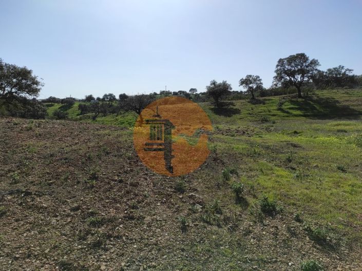 Image No.8-Plot for sale