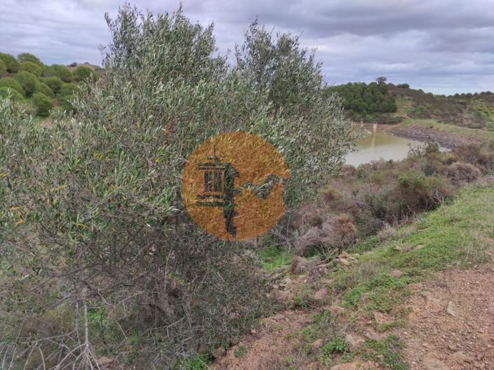 Image No.13-Plot for sale