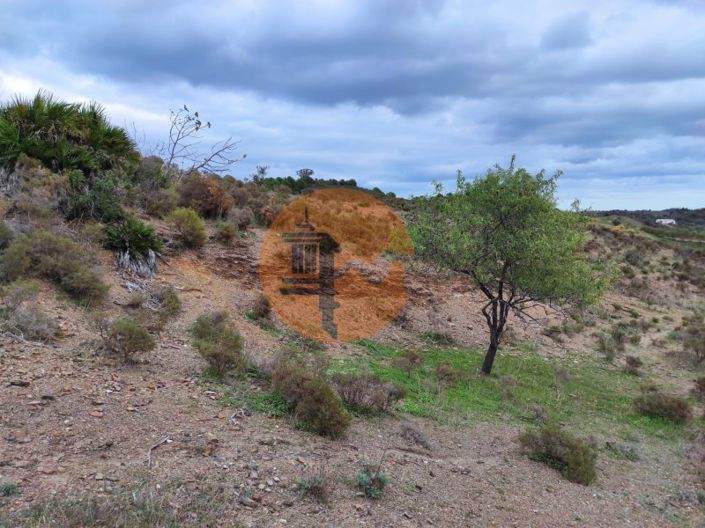 Image No.14-Plot for sale