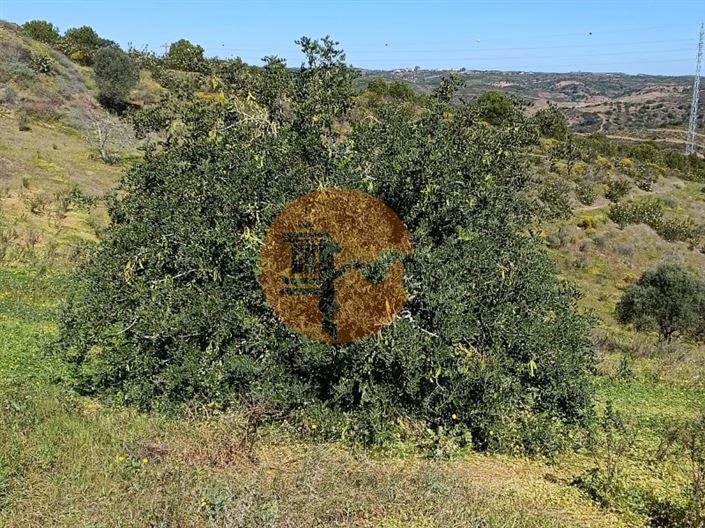 Image No.15-Plot for sale