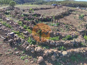 id207c5201-0000-0500-0000-000010b9a582