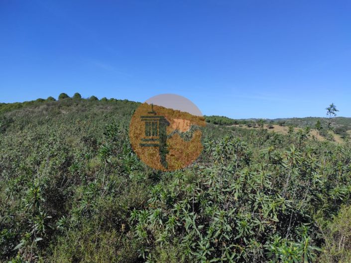 Image No.23-Plot for sale