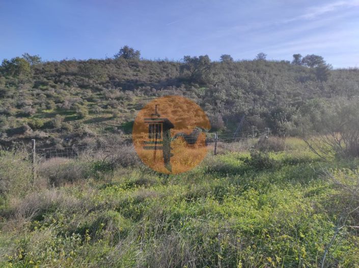 Image No.20-Plot for sale