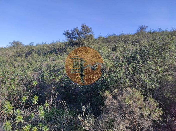 Image No.21-Plot for sale