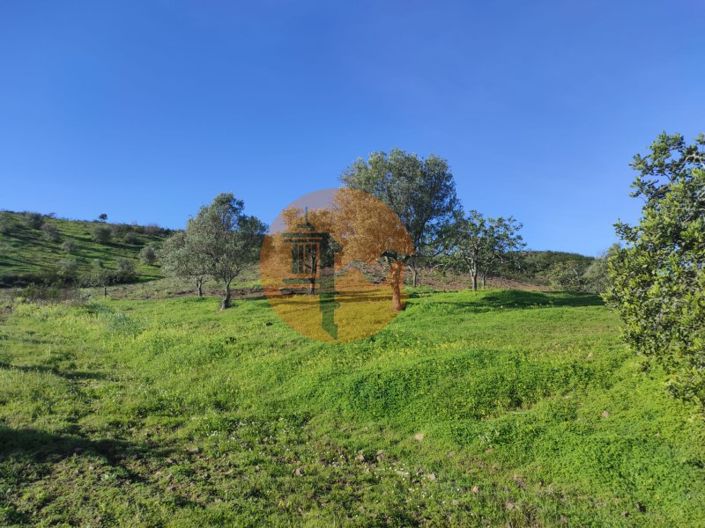 Image No.24-Plot for sale