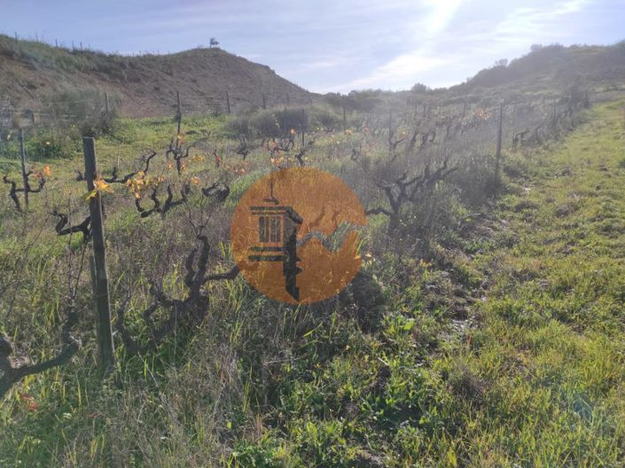 Image No.30-Plot for sale