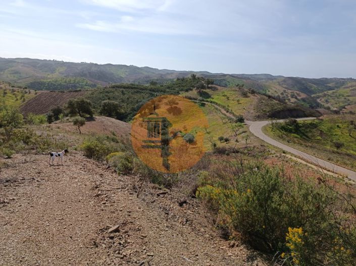 Image No.10-Plot for sale