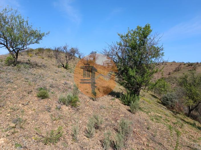 Image No.11-Plot for sale