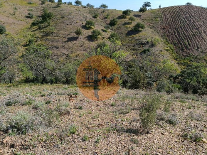 Image No.17-Plot for sale