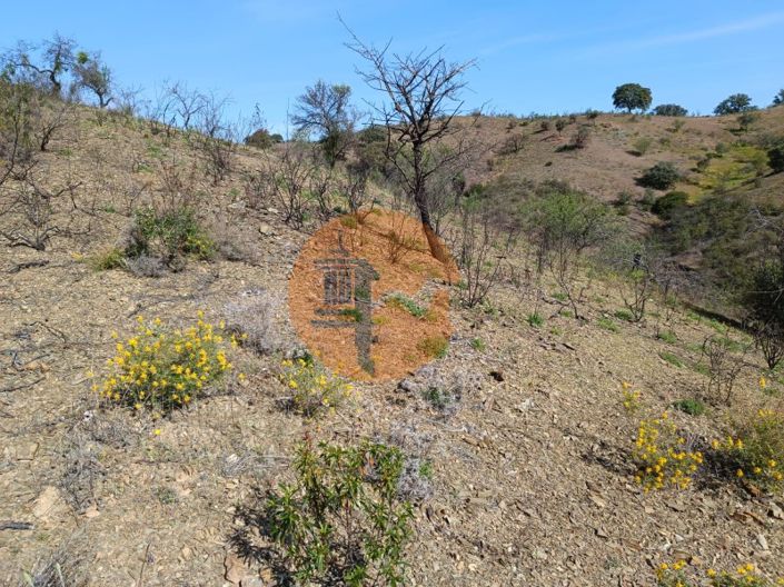 Image No.18-Plot for sale