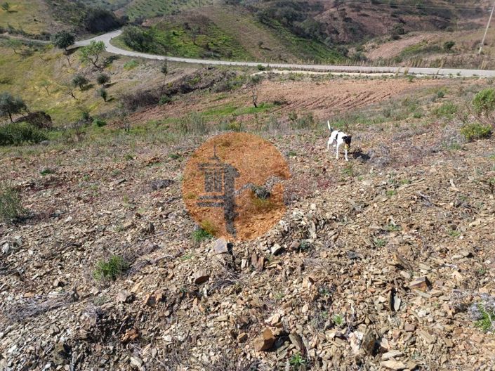 Image No.22-Plot for sale