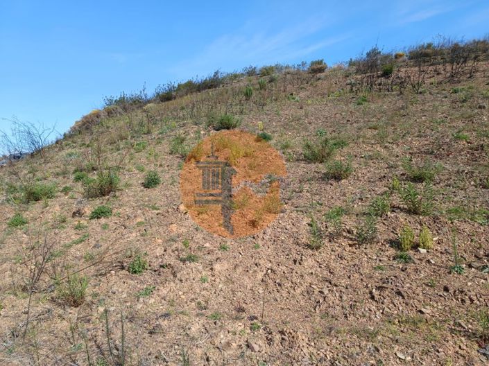 Image No.7-Plot for sale