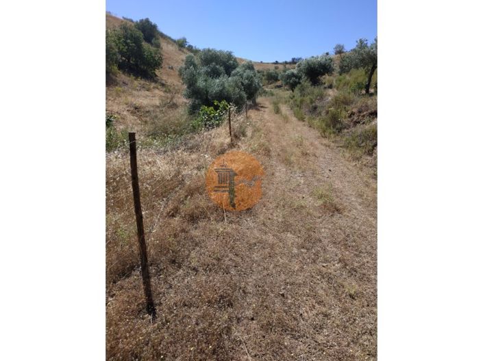 Image No.13-Plot for sale