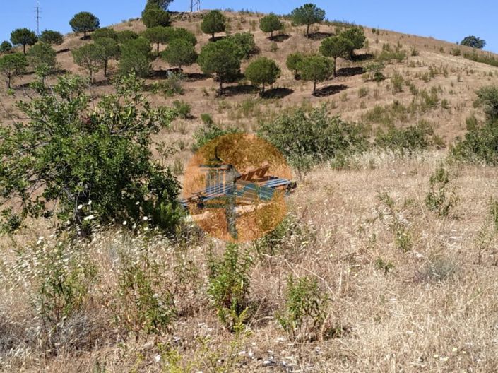 Image No.18-Plot for sale