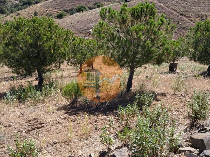 Image No.24-Plot for sale