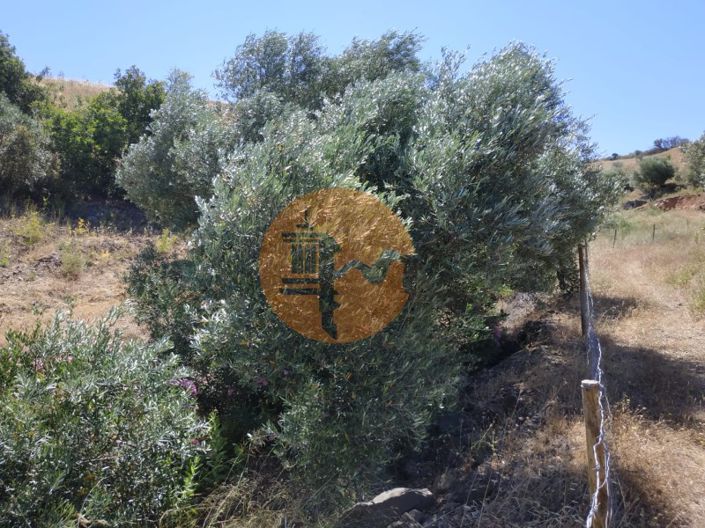 Image No.30-Plot for sale